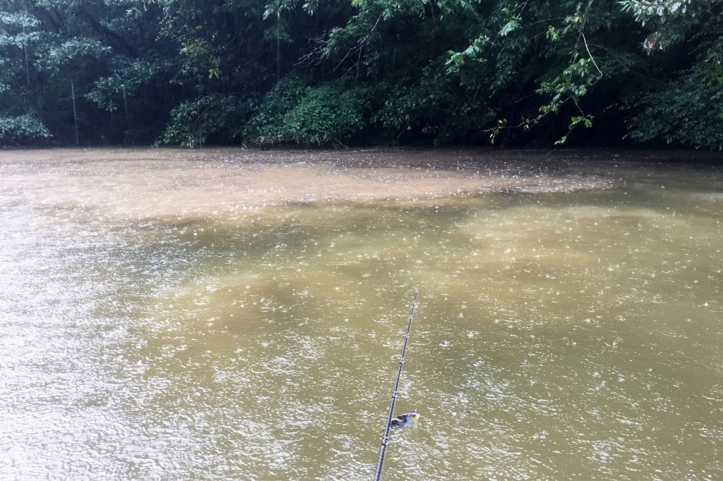 インレットの濁り