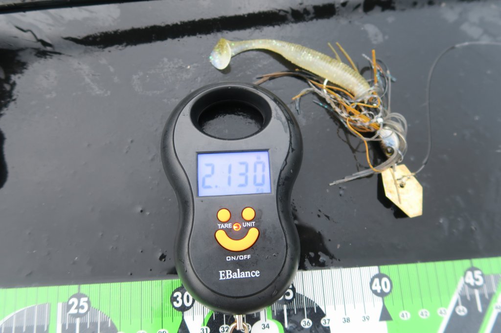 デジタルスケール