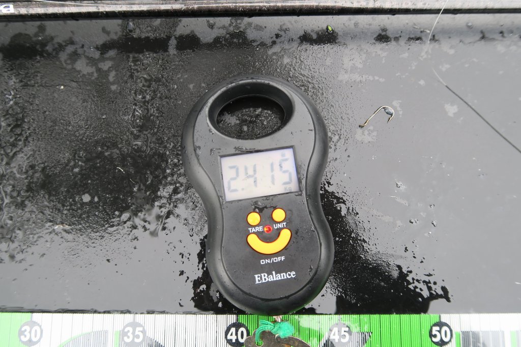 デジタルスケール