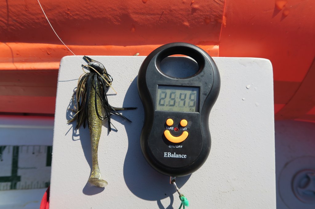 デジタルスケール