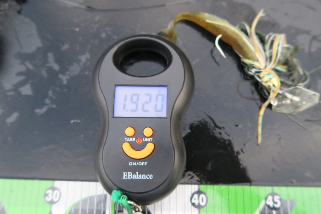 デジタルスケール