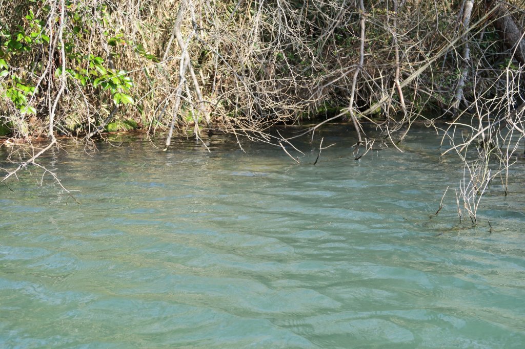 スポーニングベッド