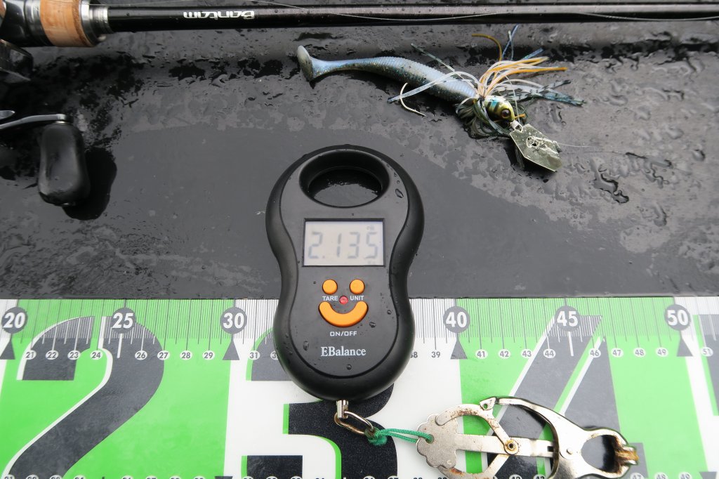 デジタルスケール