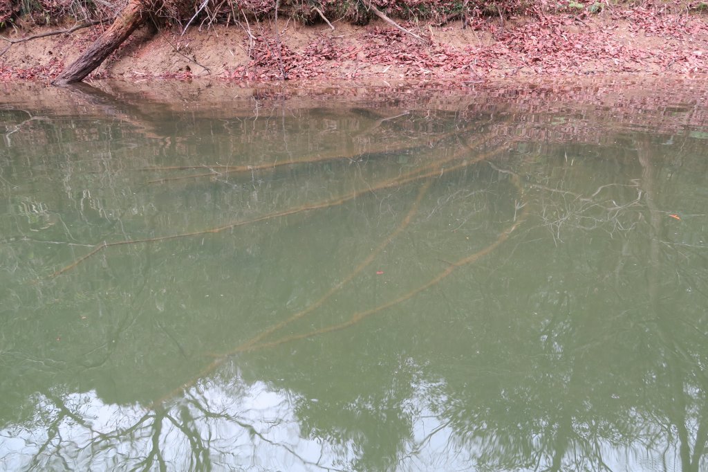 ストラクチャー