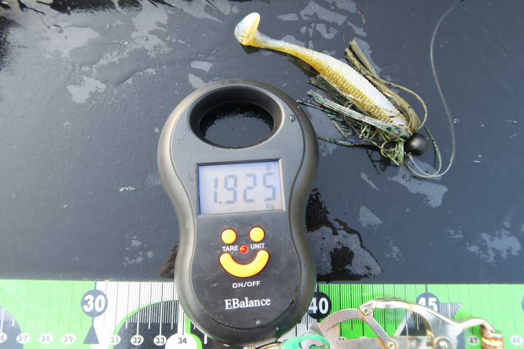 デジタルスケール