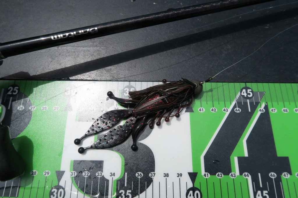 ダイレクションジグ・キッカーバグ