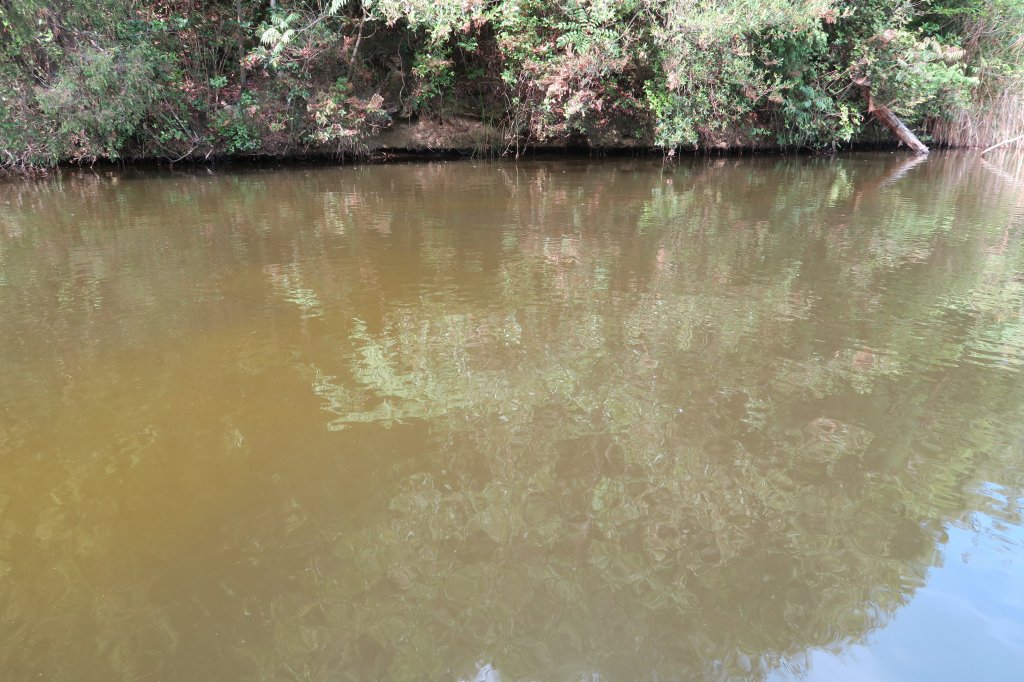 ターンオーバー