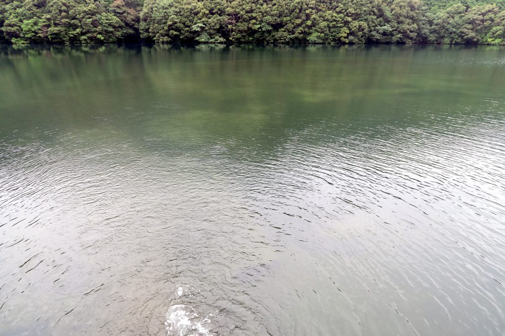 シャローフラット