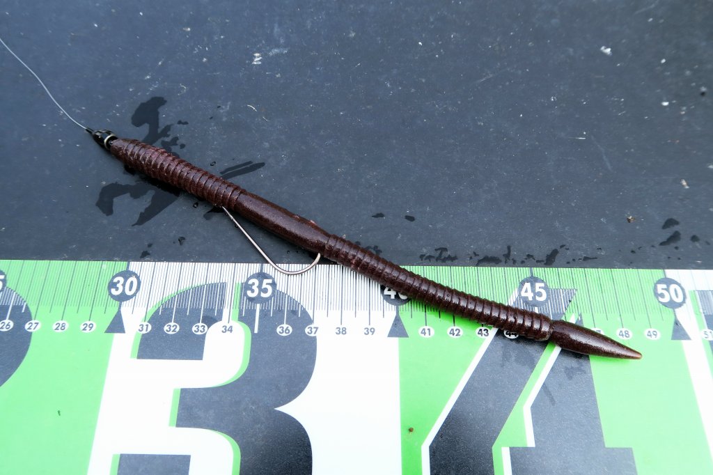 ボウワーム8インチ(高浮力)