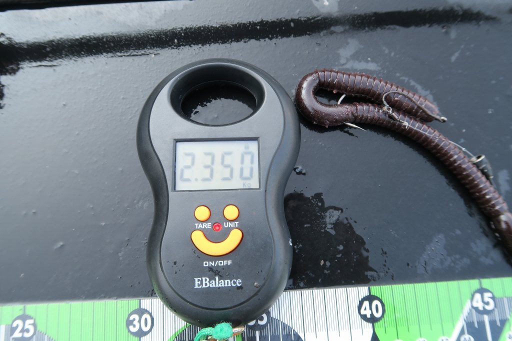 デジタルスケール