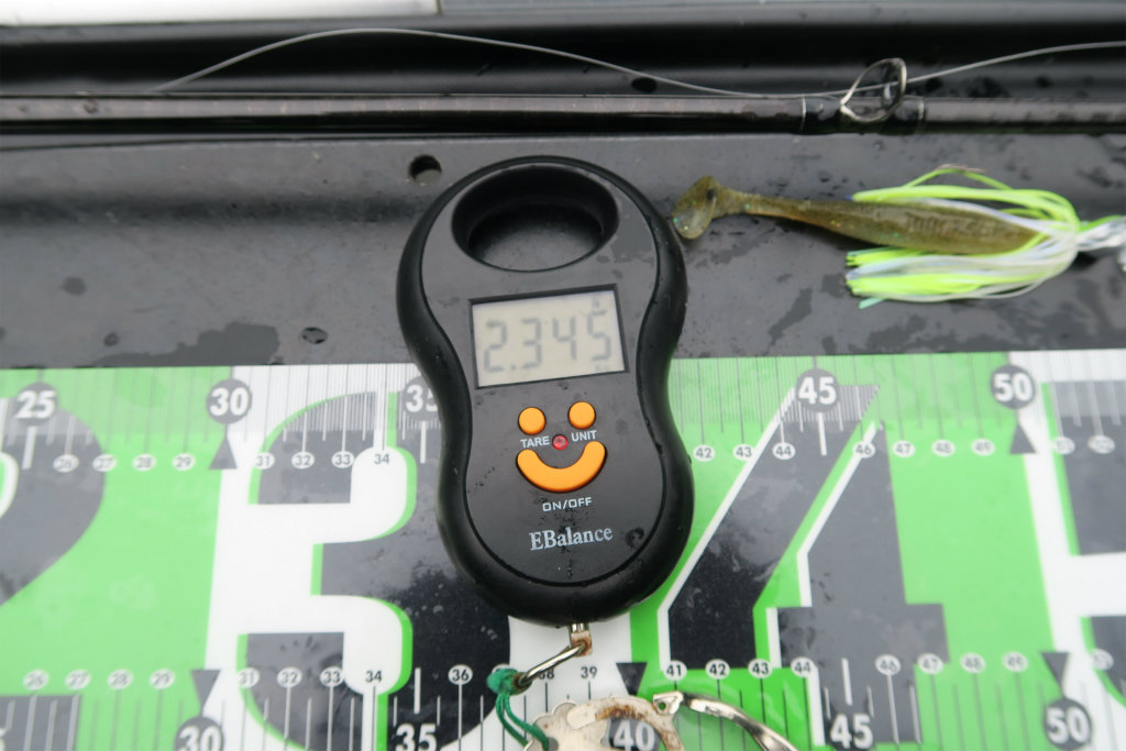 デジタルスケール