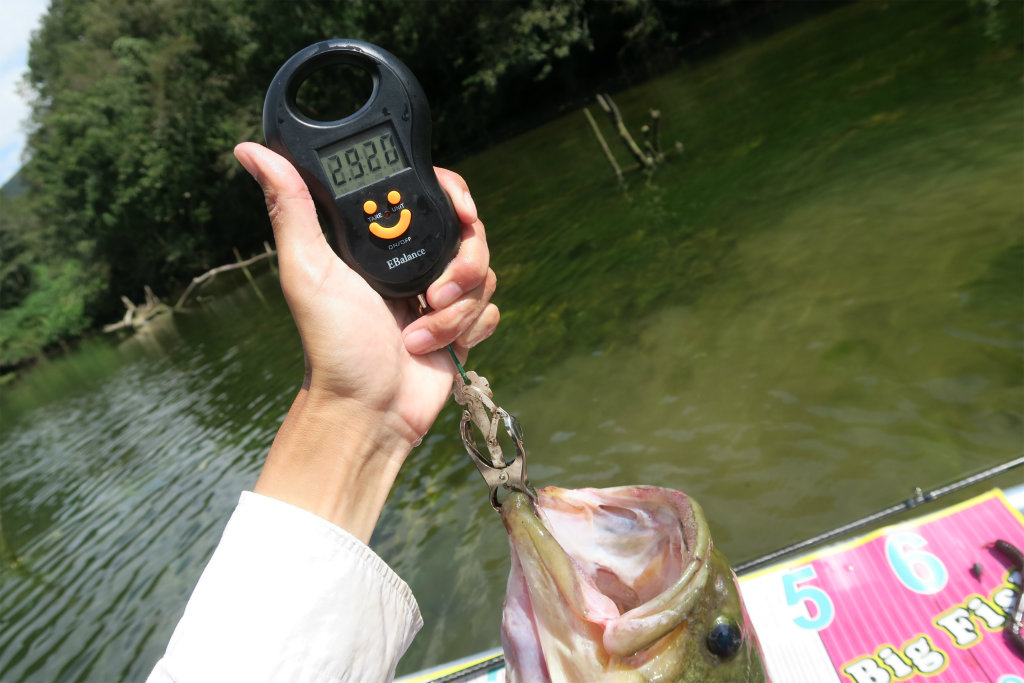 デジタルスケール