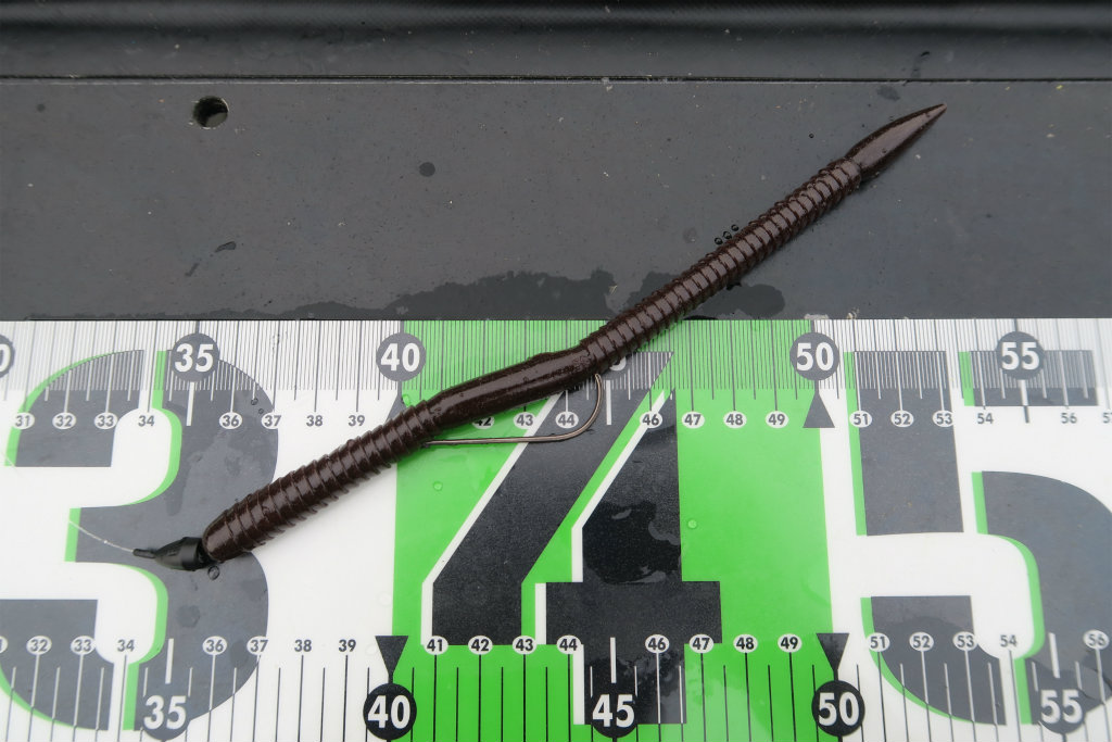 ボウワーム8インチ(高浮力)