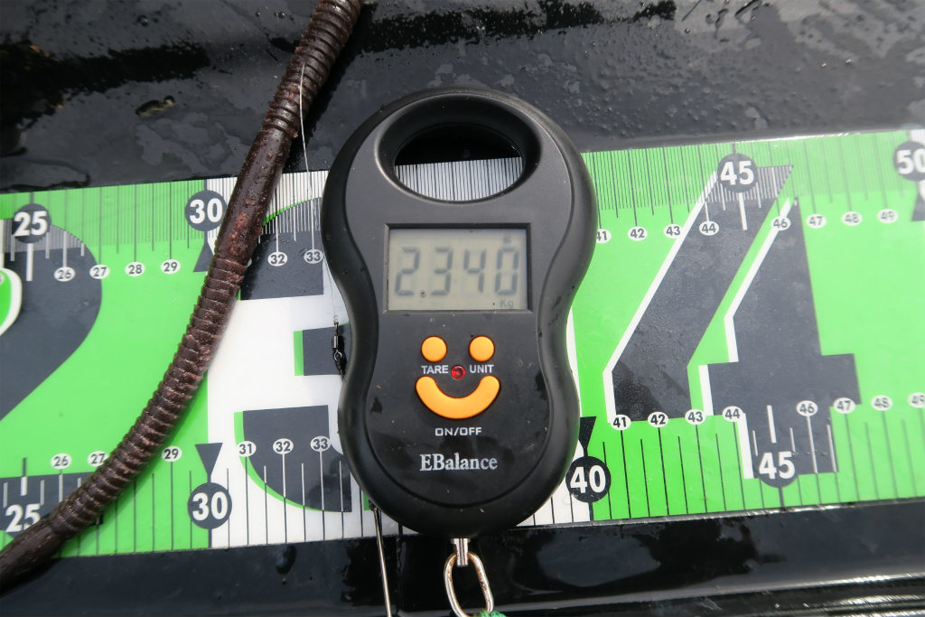 デジタルスケール