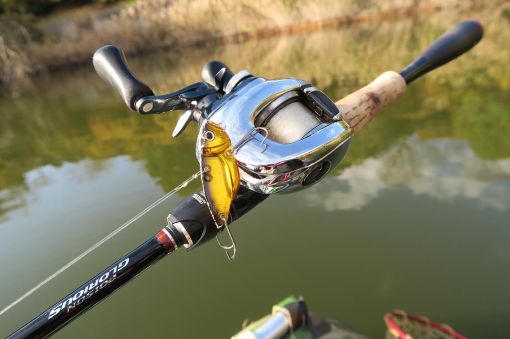 サーキットバイブ