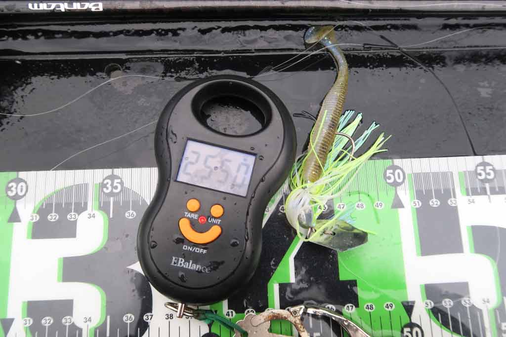 デジタルスケール